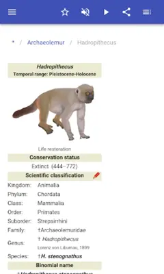 Primates android App screenshot 12